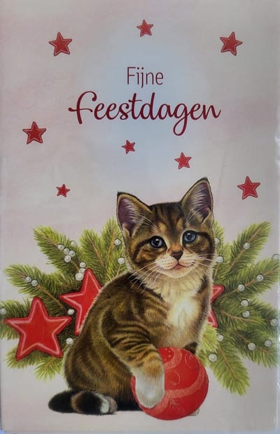Kerstkaarten kat met kerstbal - 8 dubbele wenskaarten met 8 enveloppen - Franciens katten - kerst - fijne feestdagen