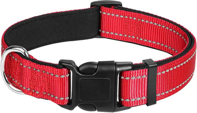 Verstelbare reflecterende hondenhalsband in zwart voor kleine, middelgrote en grote honden.
