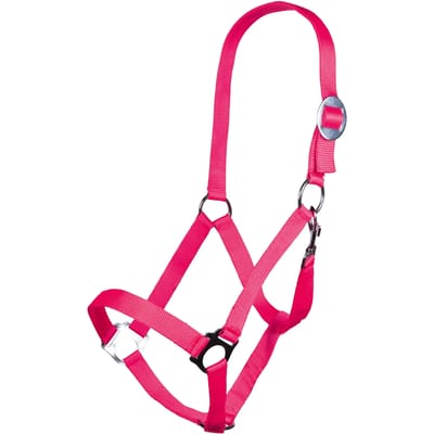 Halster voor paarden HKM Stars Economy