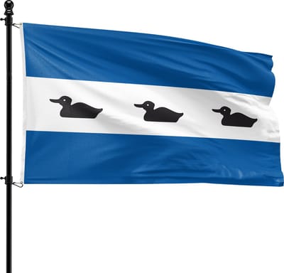 VlagDirect - Diemen vlag - Gemeente Diemen vlag - 90 x 150 cm.
