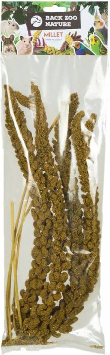 Franse Trosgierst Geel 150 Gr - BACK ZOO NATURE - Natuurlijke Voeding voor Vogels en Knaagdieren