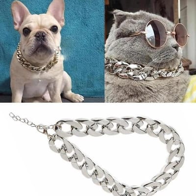 Collier pour animal de compagnie Collier pour chien moyen et petit Bijoux Chien Bully Chaîne dorée Accessoires pour animaux de compagnie