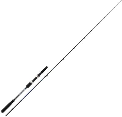 Kali Kunnan Brava Xtr Lichte Jigginghengel Zilver 2.08 m / 90-210 g