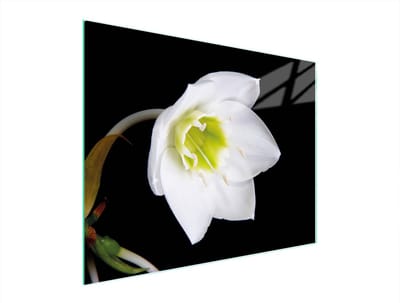 TMK ArtDeko - Snijplank - 52x40 cm - Glas - Orchidee Motief