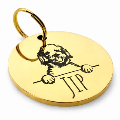 By Ollies dierenpenning goud - Hondenras - rond - 30mm - RVS - Wandelen