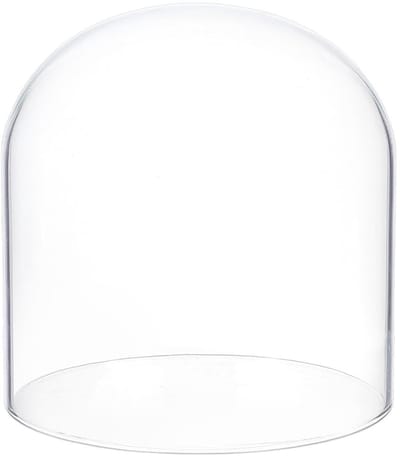Dailygoods- Koepelafdekking Transparant - Glazen Cloche - Decoratieve Afdekking - Voor Planten/Tafeldecoraties - 15,2 x 15,5 cm - Ambachtelijke Ervaring