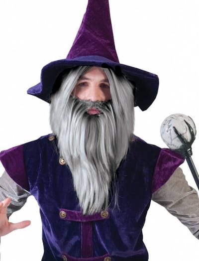 Pruik en baard tovenaar Halloween grijs