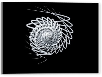 Acrylglas –Witte Schelp -120x80 (Wanddecoratie op Acrylglas)