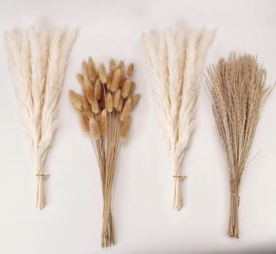 Famanu – Natuurlijk gedroogd pampasgras decoratie boeket, wit pampasgras met konijnenstaarten, boho bloemen voor tafeldecoratie en rustieke feesten