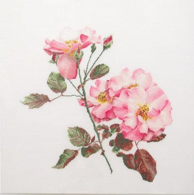 Thea Gouverneur - Borduurpakket met telpatroon - 412A - Voorgesorteerde DMC Garens - Roos Leersum - Aida - 44 cm x 44 cm - DIY Kit