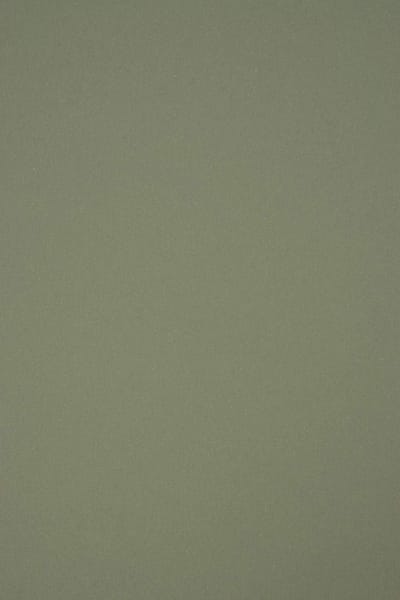 Olijf Groen Knutselpapier DIN A4 120g Milieuvriendelijk Gekleurd Papier