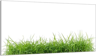 TMK ArtDeko Serie - Glazen Fornuisbeschermer - 90x52 cm - Wit - Hittebestendig