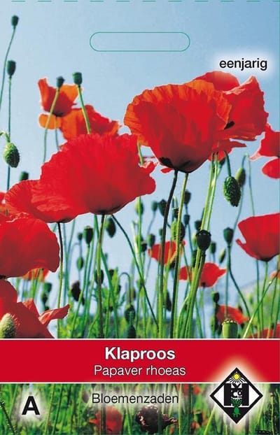 5 stuks Van Hemert & Co Papaver rhoeas