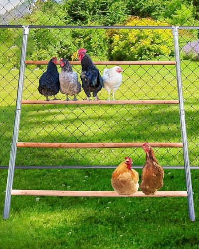 Grote Kippenbaars voor Coop, Roosting Bar voor Kippenstandaard, Grappig Kippenspeelgoed voor Kippenhokken Accessoires