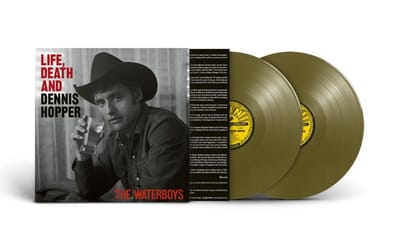 The Waterboys - Life Death & Dennis Hopper (2 LP) (Coloured Vinyl)