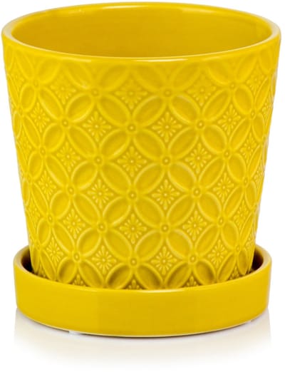 Polnix Keramiek Pot 15cm - Geel/Mosterd met Schotel