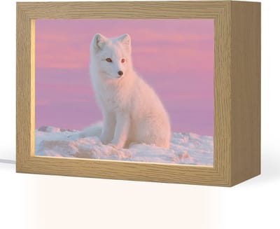 Nachtlampje 20x15 cm - Kinder lampje - Poolvos - Sneeuw - Roze - Tafellamp kinderkamer - Slaapkamer lamp - Bedlamp kinderen - Kinderlampje stopcontact - Wandlamp babykamer - Nachtlampjes
