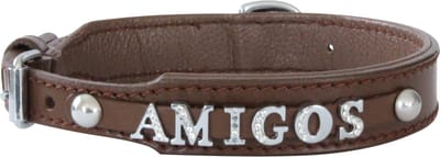 Hondenhalsband met naam van de hond - leder - bruin - maat 40 cm