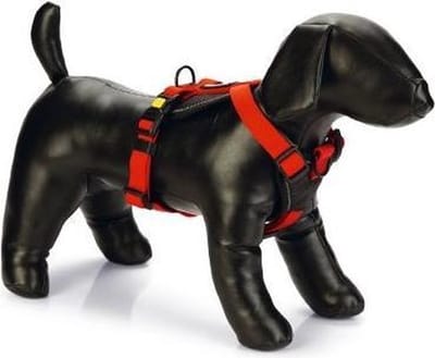 Beeztees Hondentuig Parinca Premium Y-Tuig - Hondenharnas kleine honden - Nylon - Rood - 42-46cmx20mm