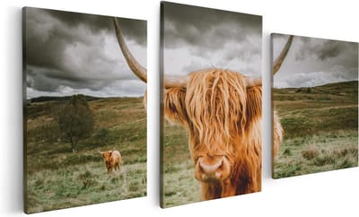 Artaza Canvas Schilderij Drieluik Schotse Hooglanders In De Wei - Kleur - 120x60 - Foto Op Canvas - Canvas Print