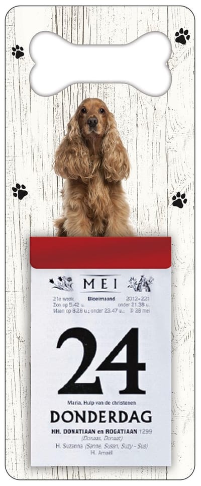 Scheurkalender 2027 Hond: Engelse Cocker