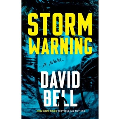 Storm Warning - Bell, David