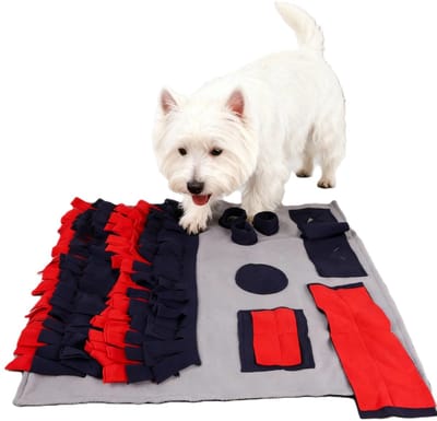 Honden Speelgoed - Denkspel Hond - Anti Schrok – Hondenspeeltjes - Honden Speelgoed Intelligentie - Puppy Speelgoed - LOUZIR