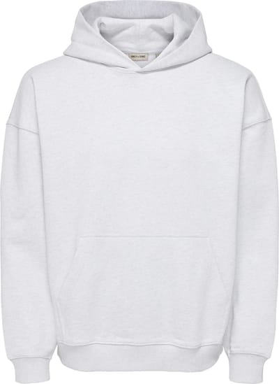 ONLY&SONS - ONSLUCAS OVZ LS HOODIE SWEAT - Heren - Sweaters