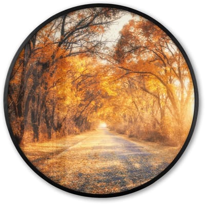 Poster in lijst Rond - Fotolijst 60x60 cm - Posters - Bos - Herfst - Bomen - Bospad - Natuur - Ronde posterlijst zwart - Decoratie - Wanddecoratie woonkamer - Muurdecoratie slaapkamer