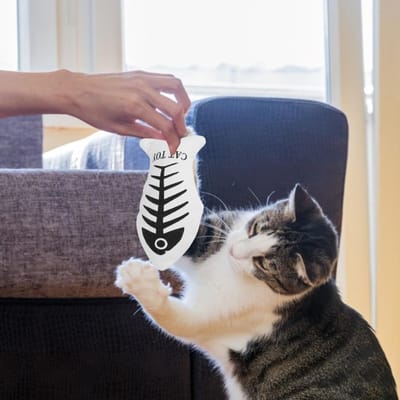 5 Stuks Canvas Huisdier Simulatie Visvorm Interactief Speelgoed met Kattenkruid voor Kat Spelen gray