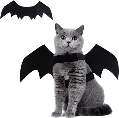 Halloween Kostuum voor Huisdieren met Vleermuisvleugels - Perfect voor Katten en Honden, Grappige Cosplay Outfit voor Feestdagen