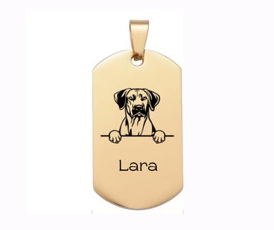 Hondenpenning met Hondenkop | Dogtag Hondenkop | Goud | Hondenkop Penning | Dogtag | Petshop Seven®