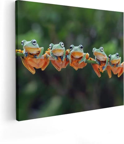 Artaza Canvas Schilderij Kikkers - 50x40 cm - Wanddecoratie Jungle - Muurdecoratie Dieren - Kamer Accessoires