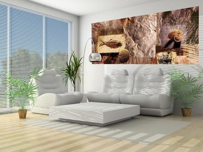 Fossil Shells Photo Wallcovering