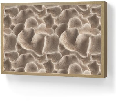 Wandlamp 60x40 cm - Oplaadbaar - Waaiervorm - Beige - Vezel textuur - Wandlampen binnen woonkamer - Slaapkamer lamp - Decoratieve nachtlamp - Vloerlamp draadloos