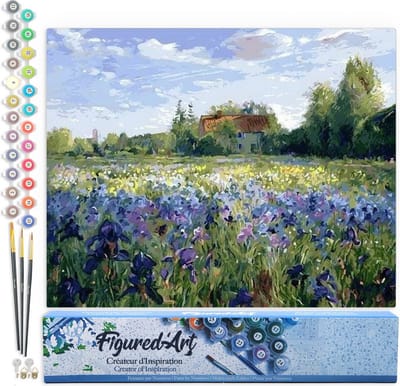 Figured'Art Schilderen op Nummer Volwassenen canvas Platteland veld en blauwe bloemen - Handwerk acrylverf Kit DIY Compleet - 40x50cm zonder frame