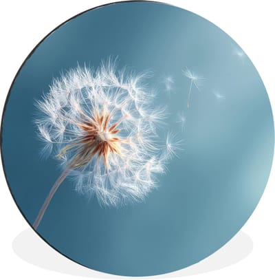 WallCircle - Wandcirkel - Muurcirkel - Paardenbloem - Wind - Blauw - Aluminium - Dibond - 30x30 cm - Binnen en Buiten