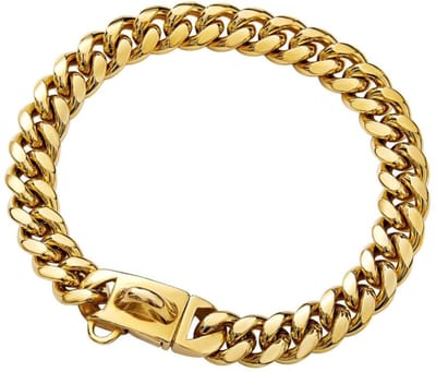 Dailygoods- Hondenhalsband Roestvrij Staal - Hondenhalsband Ketting - Gouden Hondenhalsband - Verstelbare Maten - Duurzaam - Geschikt voor Puppy’s en Kleine Honden - Halsband