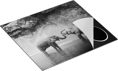 Chefcare Inductie Beschermer Twee Olifanten in het Water - Zwart Wit - 60x50 cm - Afdekplaat Inductie - Kookplaat Beschermer - Inductie Mat
