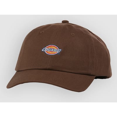 Dickies Hardwick 6 Panel Pet