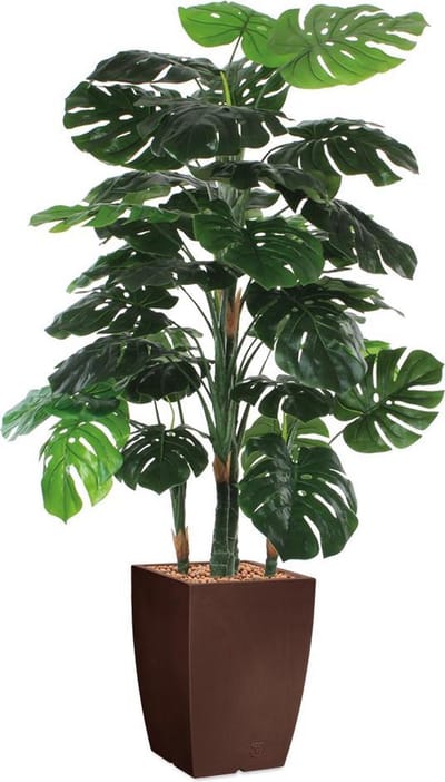 HTT - Kunstplant Monstera in Genesis vierkant bruin H160 cm
