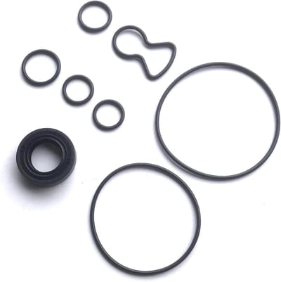 Stuurbekrachtiging Pomp - Reparatieset - Auto Onderhoud - Stabiele Prestaties - 200 g - Zwart