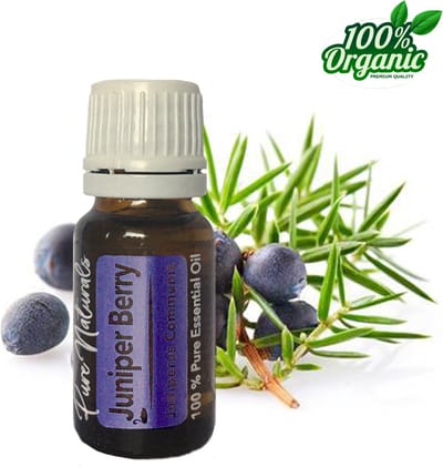 Jeneverbes etherische Olie 10 ml | Juniper Berry Oil | 100% PUUR | Bio | Essentiële olie Aromatherapie | Olie diffuser | Pure Naturals