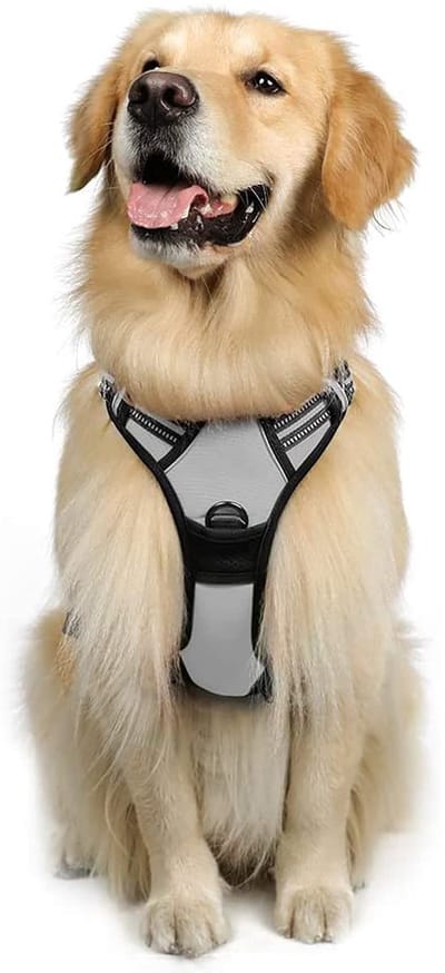Stunq® Hondenharnas - Verstelbaar, Ademend & Veilig voor Puppys, Kleine & Grote Honden (Zwart/Roze/Blauw)
