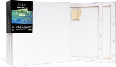 Elan Schildersdoeken 30x30 CM, 6 Stuks Canvasdoeken 30x30 CM, 100% Katoenen Canvas voor Schilderen, Stretched Canvas, Painting Canvas 30x30 CM, Pre Primed Canvas, Schilderdoek 30x30 CM