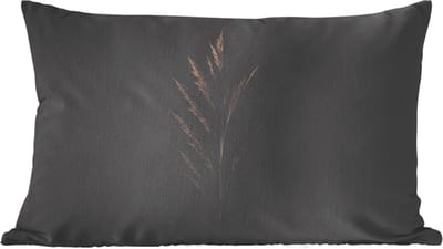 Sierkussens - Kussentjes Woonkamer - 60x40 cm - Tak - Pluimgras - Donkerbruin