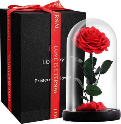 Eeuwige Roos in Glazen Koepel - Perfect Cadeau voor Moederdag of Valentijn