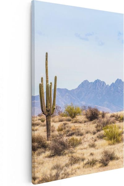 Artaza Canvas Schilderij Cactus - 20x30 cm - Klein - Wanddecoratie Woestijn - Muurdecoratie Amerika - Schilderijen Op Canvas Bergen