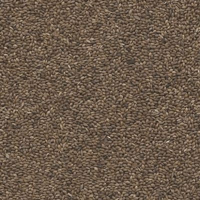 Foniogold - Supplementen - Vogelvoer - Vuurvink (Lagonosticta senegala)