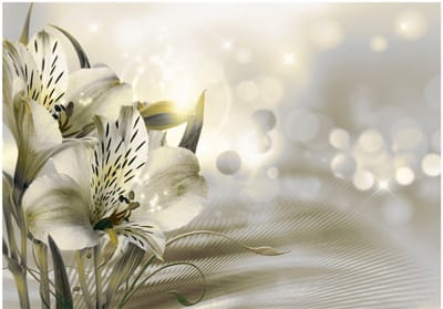 Fotobehangkoning - Behang - Vliesbehang - Fotobehang Bloemen en de Ochtendzon - Green Daybreak - 150 x 105 cm